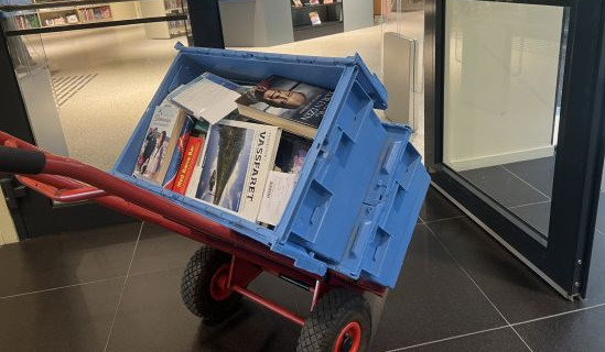 Illustrasjonsfoto fjernlån Halden bibliotek